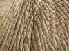 Elephant Skin