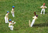 Cricket
