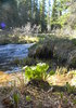 Arickaree Picnic Area