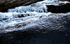 bushland stream