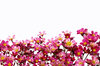 Flower border