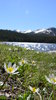 Brainard Lake