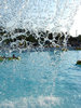 in the swimmingpool 13