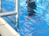 A day in the swimmingpool 9