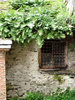 Country house
