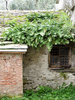 Little country houses