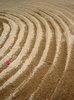 sand texture