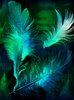 feather fly