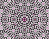 pink & white daisy lace