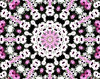 pink & white daisy wheel