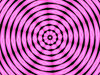 pink daisy circle