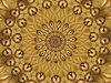 pumpkin mandala