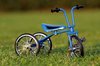 Tricycle on the grass 2