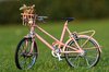 Bicycle on the grass