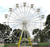 ferris wheel