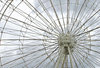 ferris wheel