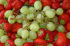 Fresh fruits