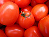 Roma tomatoes
