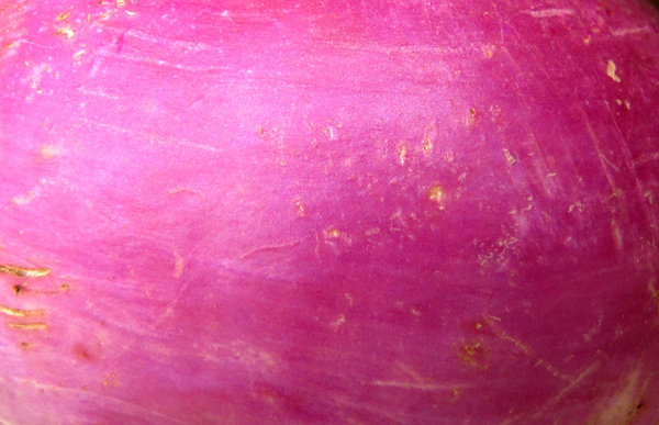 purple root vegetable