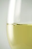 whine bubble