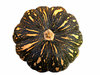pumpkins