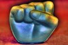 Fist