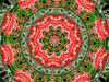 red alien garden circle