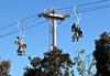 above the trees