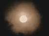 sepia moon