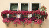 Floral balcony