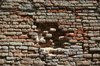 Brick texture