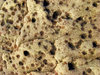 Close up of a stone