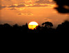 setting sun silhouettes
