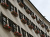 Windowboxes