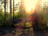 Swedish evening