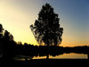 Swedish evening