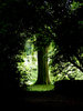 Marselisborg Castle, Aarhus, D