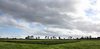 Fields