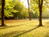autumn park