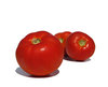 fresh tomatoes