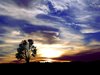 Painted Sky