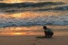 sand art & play