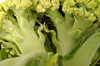 broccoflower