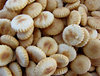 savoury bikkie