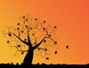 Autumn Sunset