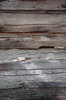 Log Cabin