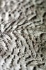 Blurred bark texture