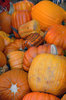 Pumpkins