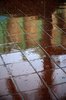 wet city 2