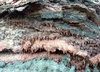 Volcanic Rock